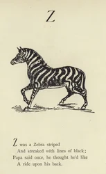 De letter Z